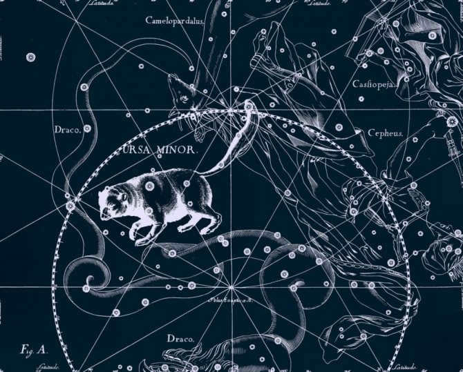 The Little Bear, drawing by Jan Hevelius from his atlas of constellations.