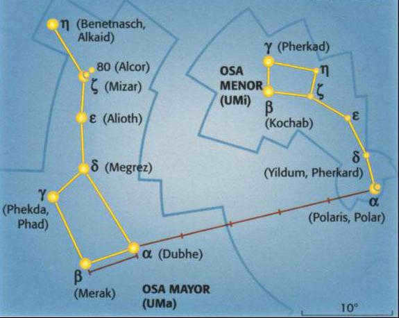 polar bear constellation all the facts