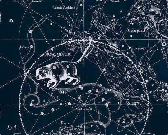 How to find the constellation of the Little Bear