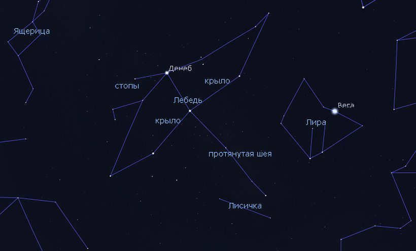 Swan constellation