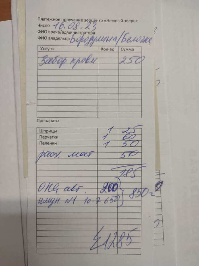 Continued from the post "We have a new kitty. Someone left her on the street, where she got sick. Yesterday was an emergency transfusion" Animal Rescue, Help animals, Dacha, Cat, Kolpino, Video, No sound, Vertical Video, Longpost, Response to post