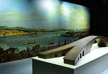 Da Vinci Bridge Cognitive, Interesting, Video, Silent, Vertical Video