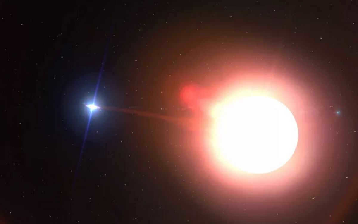 Whale is the largest constellation in the northern part of the sky.