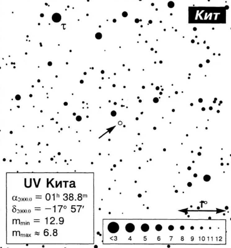 Whale is the largest constellation in the northern part of the sky.