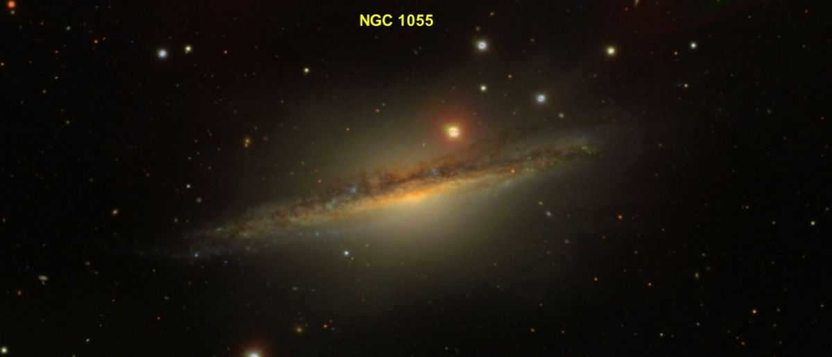 Whale is the largest constellation in the northern part of the sky.