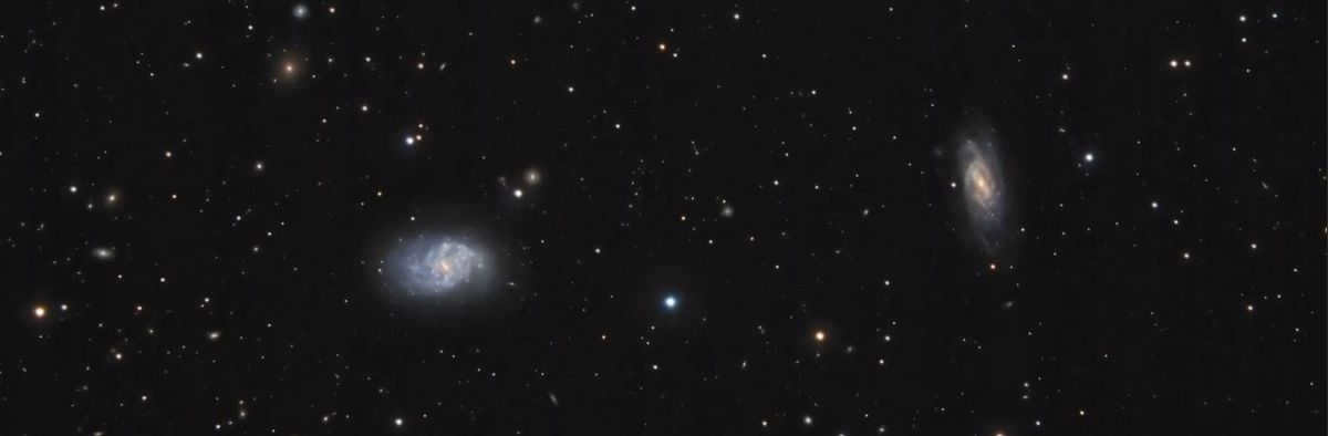 Whale is the largest constellation in the northern part of the sky.
