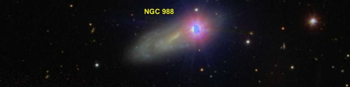 Whale is the largest constellation in the northern part of the sky.
