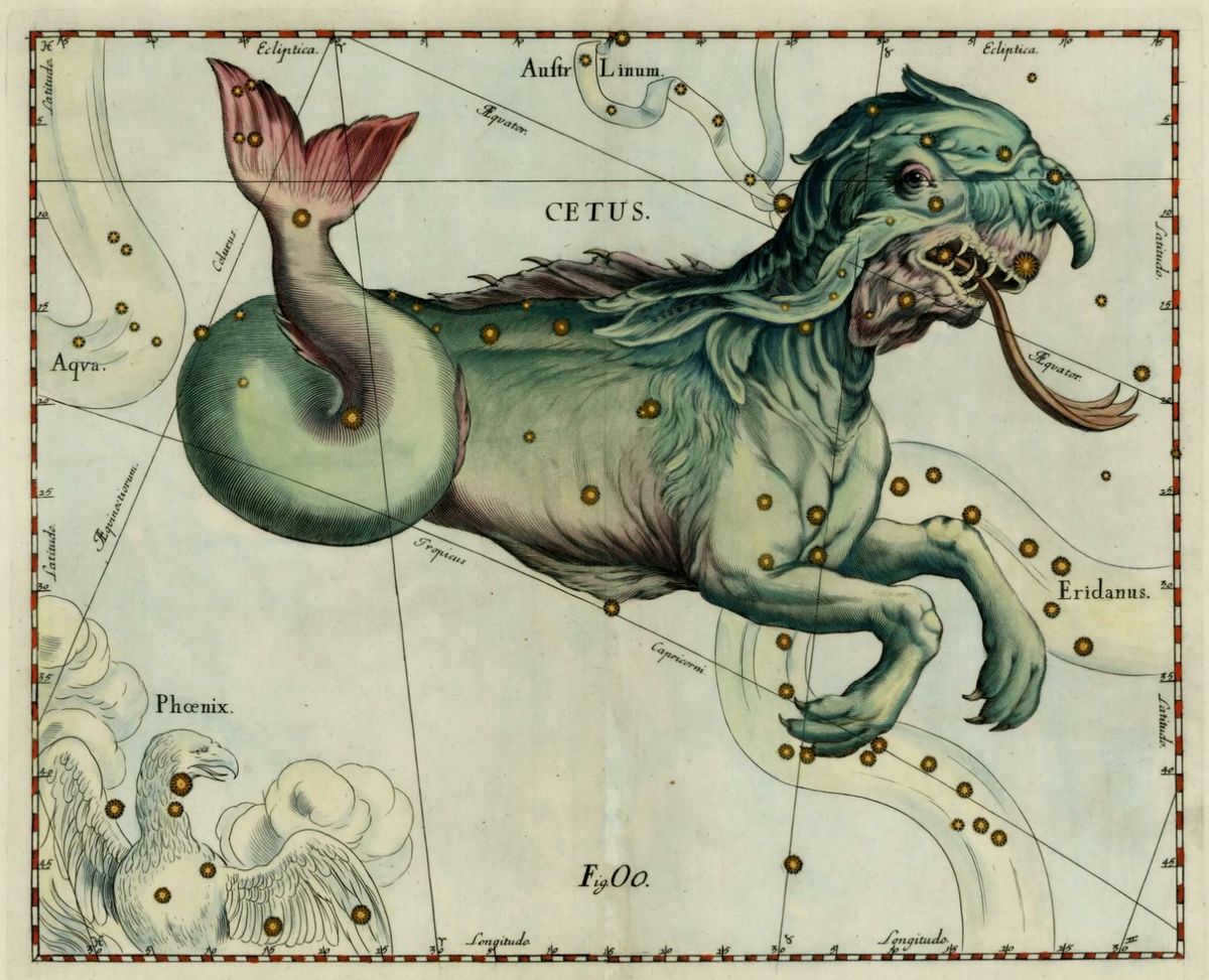 Cetus is the largest constellation in the northern part of the sky