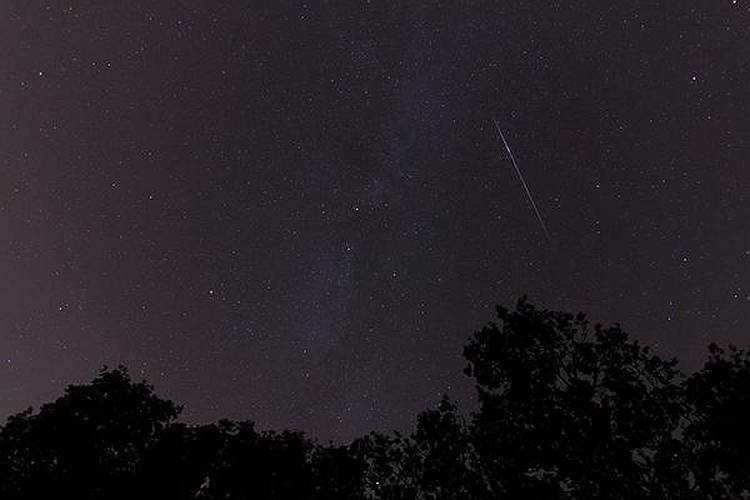 Meteor stream of Cetida