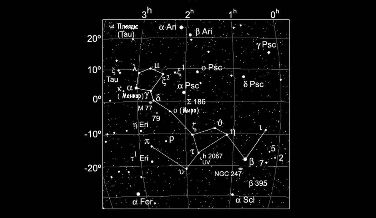 Cetus is the largest constellation in the northern part of the sky.
