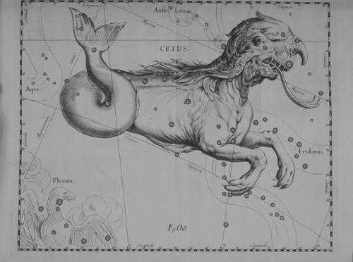  whale constellation legend 