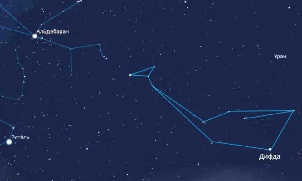 The whale is the largest constellation in the northern part of the sky
