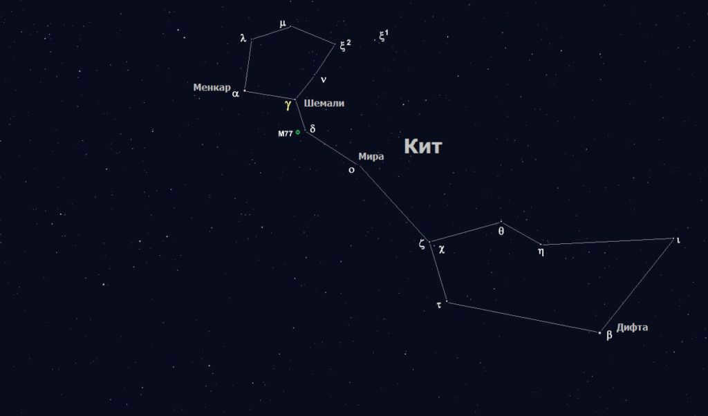 Stars of the constellation Whale