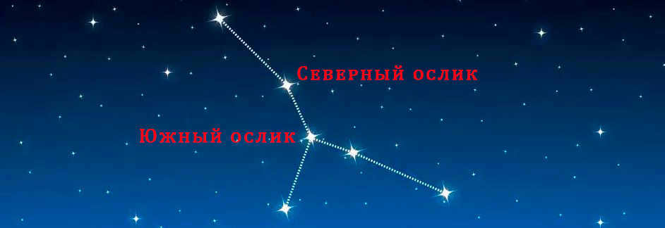 Cancer constellation with a diamond planet: 7 interesting questions you'll get answers to