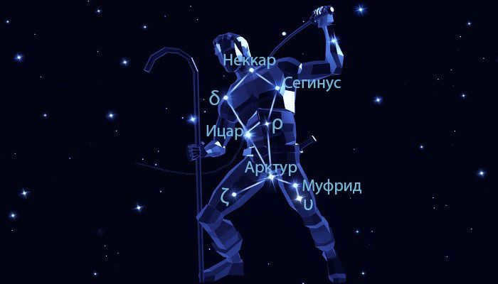 Stars of the constellation Volopassus