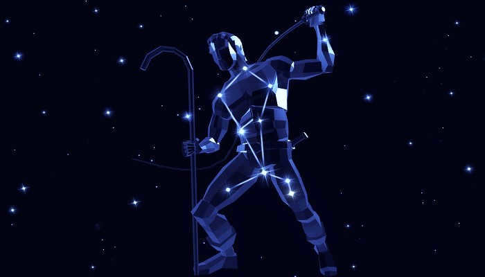 The constellation Volopassus