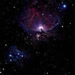 Amateur image of the Orion Nebula