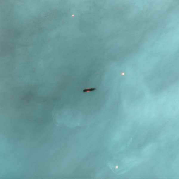 Nascent solar system