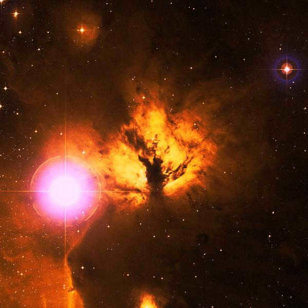 stars in the constellation Orion