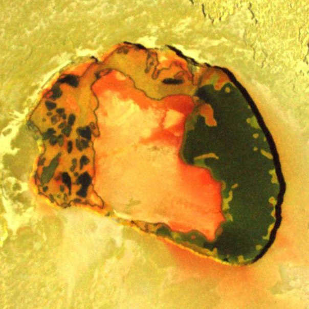 Remarkable colors in the volcanic crater Patera on Jupiter's satellite Io
