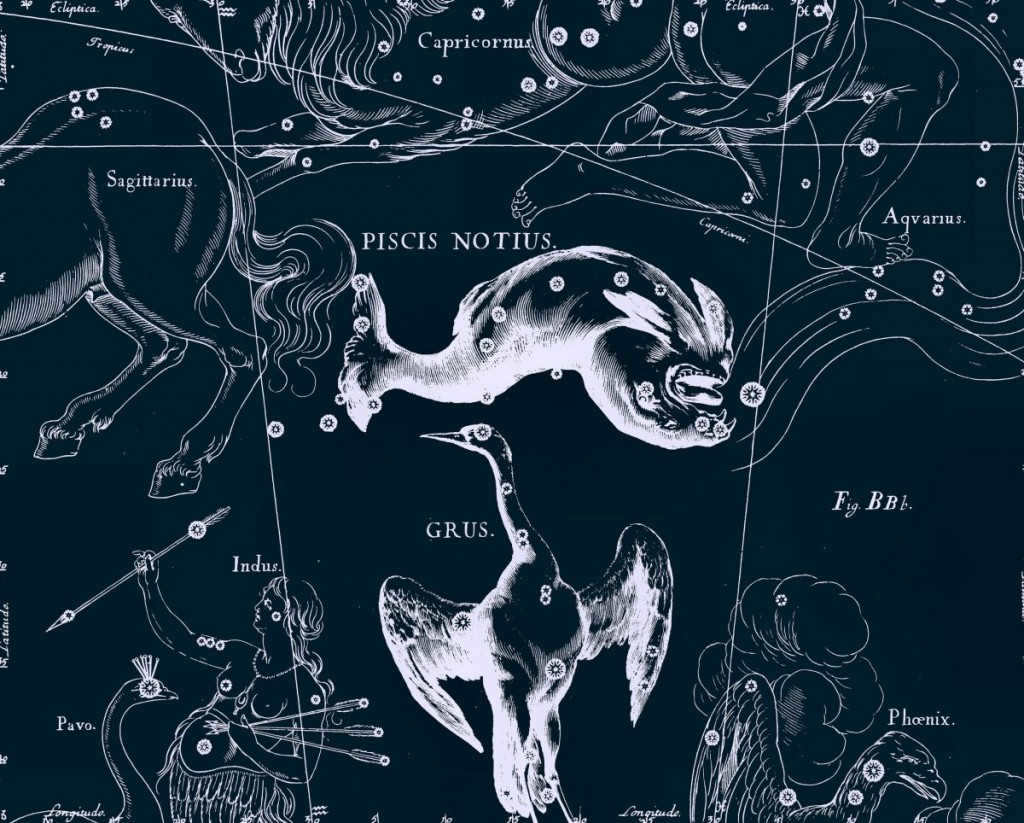 South Fish, drawing by Jan Hevelius from his atlas of constellations