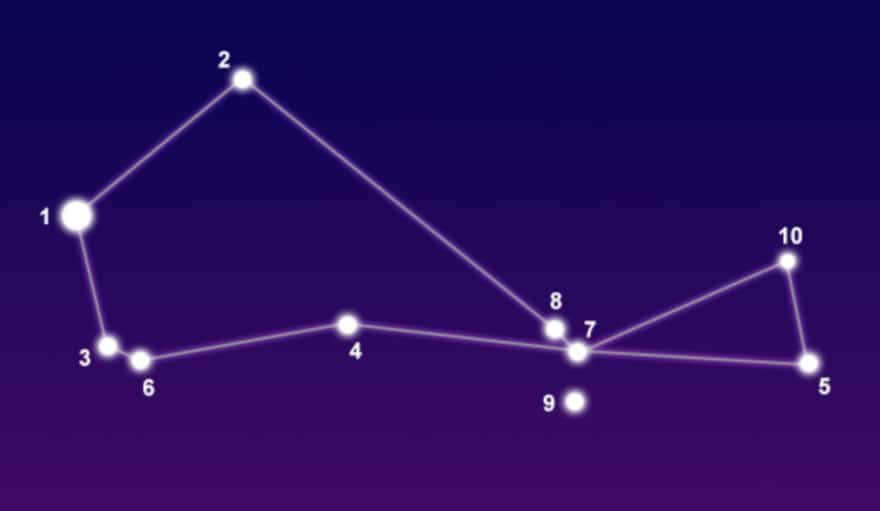 Constellation South Fish