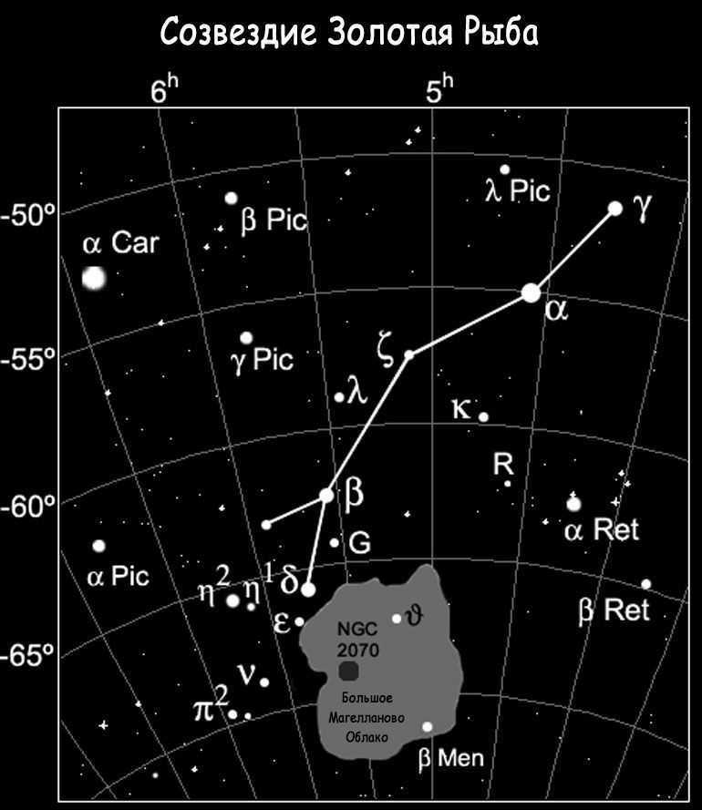 The constellation Goldfish