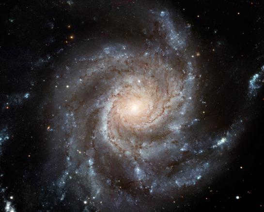 models of the universe