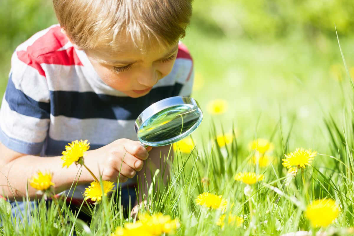 environmental quiz for kids