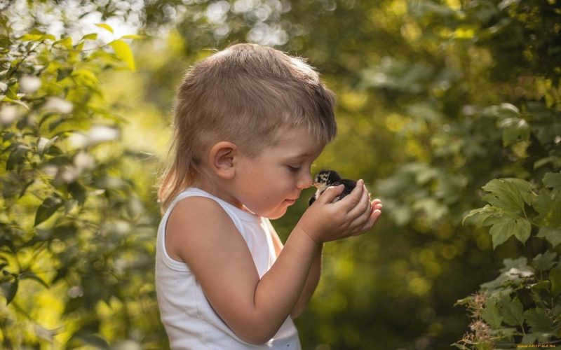 baby with a bird in nature