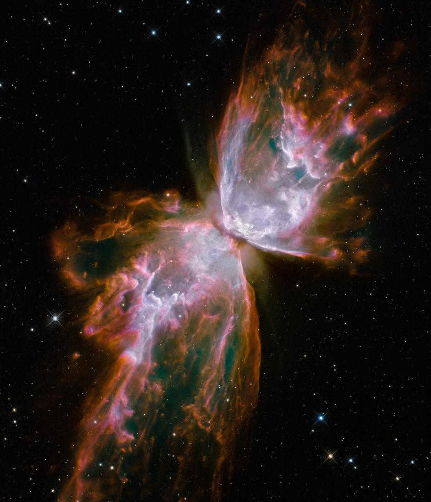 Butterfly galaxy