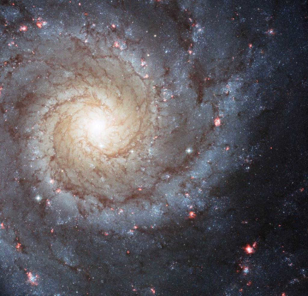 Spiral galaxy