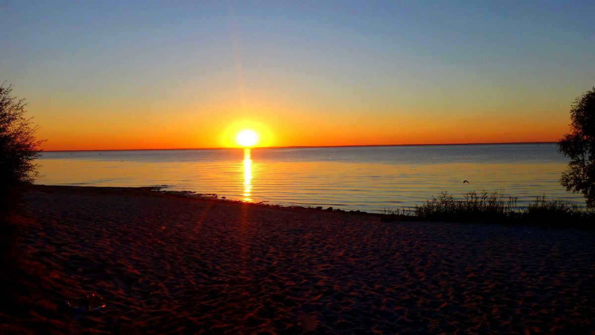 Sunrise