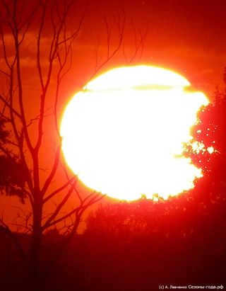 Our Sun