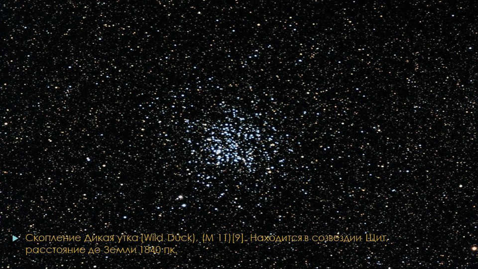 Wild Duck cluster, (M 11)[9]. Located in the constellation of Shields, distance to Zek. 