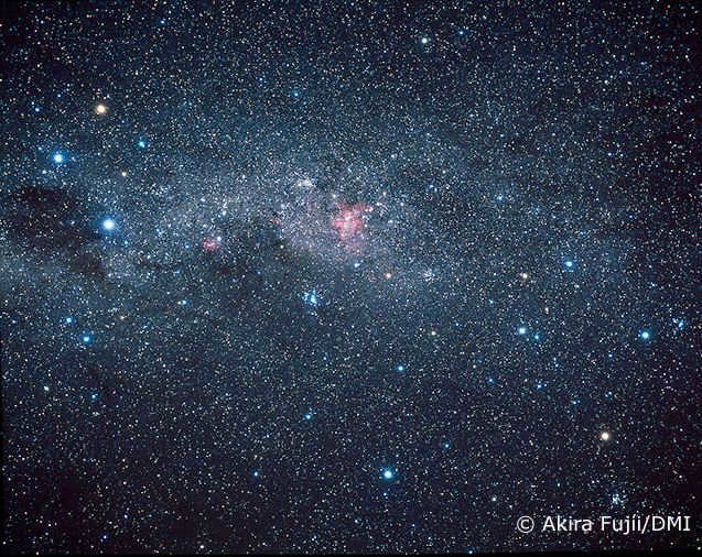 southern cross and false cross