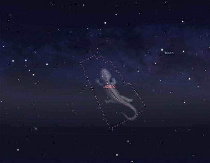Constellation Lizard: brief description, location