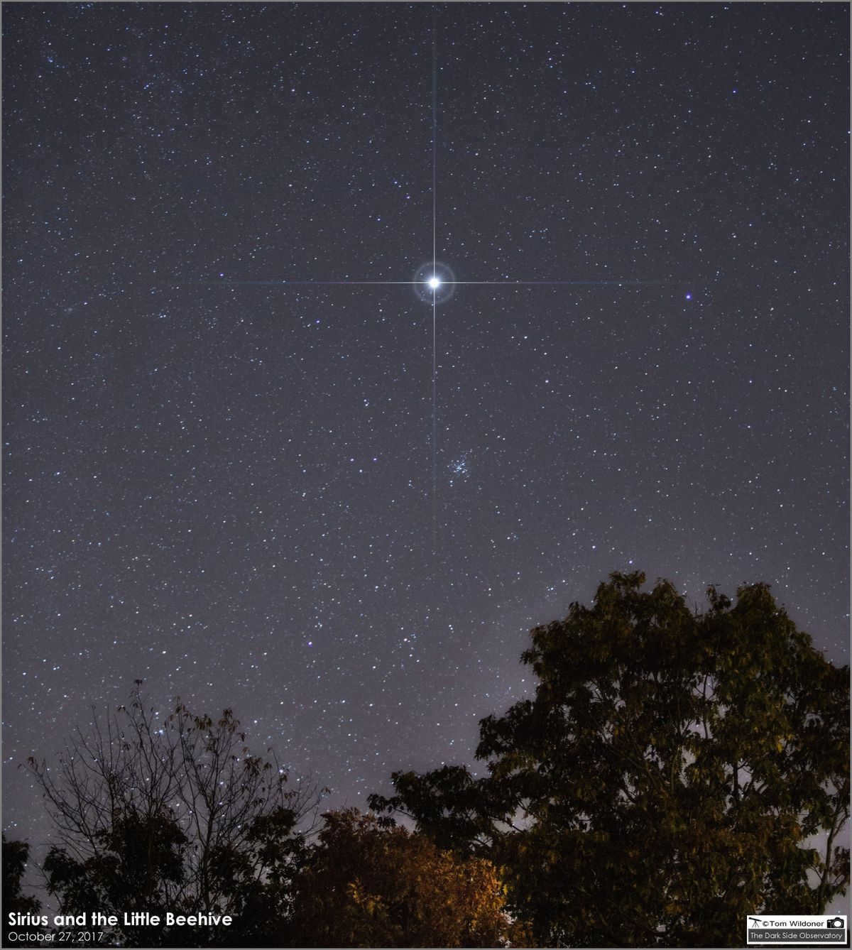 Sirius and M41 Small Beehive star cluster