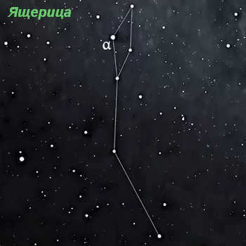 Constellation Lizard