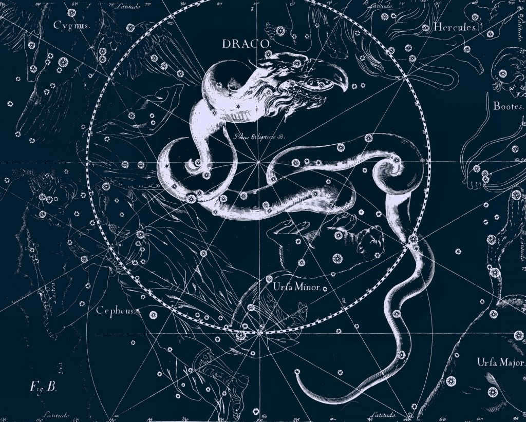 The constellation Dragon