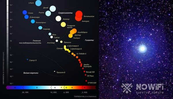 polar star size comparison