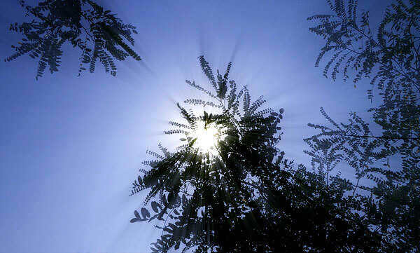 To determine the highest point of the Sun's position it is necessary to build a gnomon and observe it for some time.
