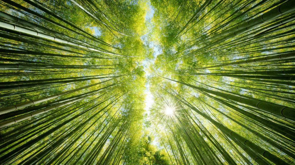 sun overhead in the tropics