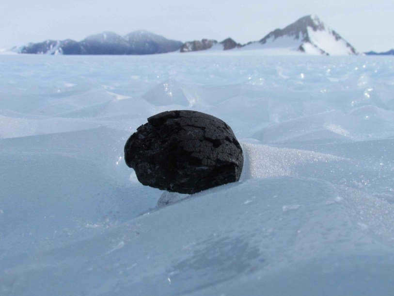 Antarctic meteorite