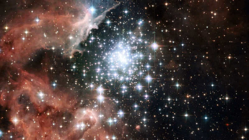 Stellar Cosmos