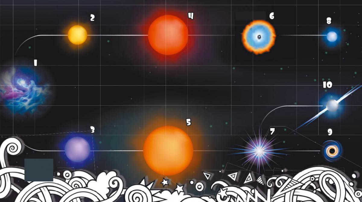 The life course of stars - from birth to death