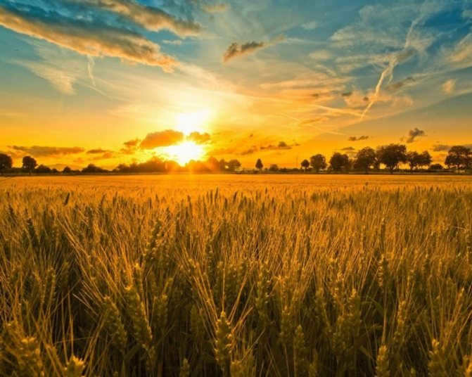 Interesting facts about the sun and its sunset