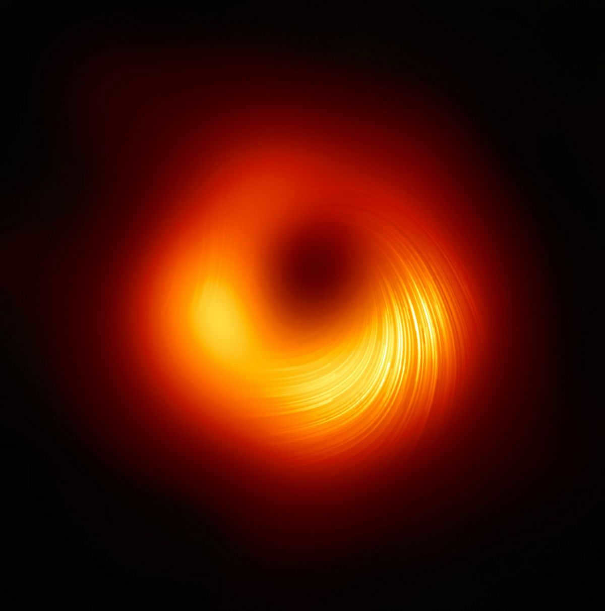 Black hole singularity: structure, scientific data, recent research