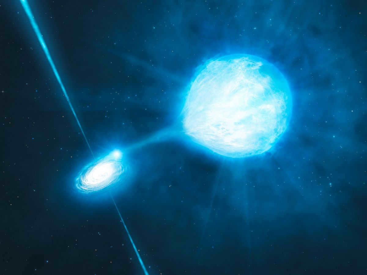 Black hole singularity: structure, scientific data, recent research