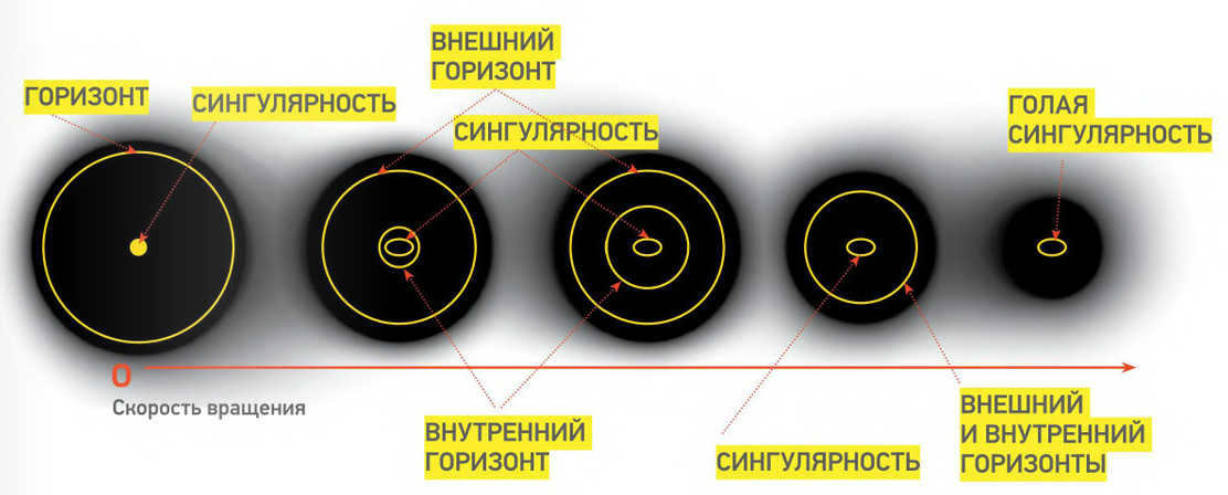 Black hole singularity: structure, scientific data, recent research